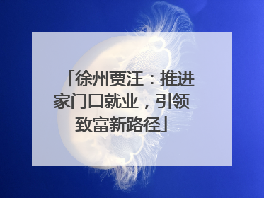 徐州贾汪：推进家门口就业，引领致富新路径