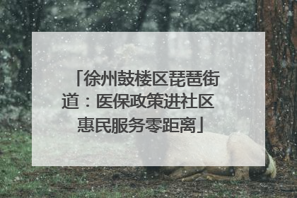 徐州鼓楼区琵琶街道：医保政策进社区 惠民服务零距离