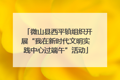 微山县西平镇组织开展“我在新时代文明实践中心过端午”活动