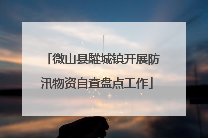 微山县驩城镇开展防汛物资自查盘点工作