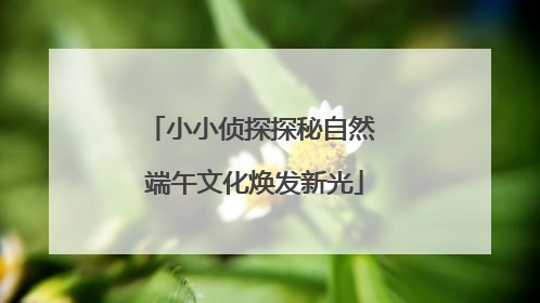 小小侦探探秘自然 端午文化焕发新光
