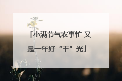 小满节气农事忙 又是一年好“丰”光