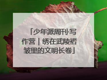 少年派周刊·写作营｜绣在武陵褶皱里的文明长卷