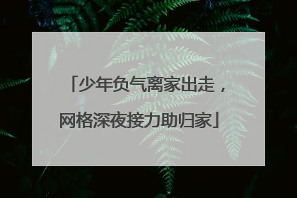 少年负气离家出走，网格深夜接力助归家