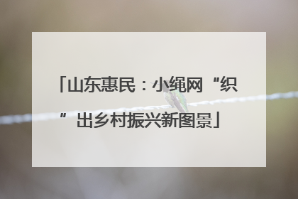 山东惠民：小绳网“织”出乡村振兴新图景