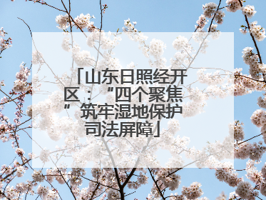 山东日照经开区：“四个聚焦”筑牢湿地保护司法屏障