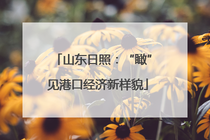 山东日照：“瞰”见港口经济新样貌
