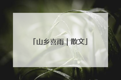 山乡喜雨｜散文