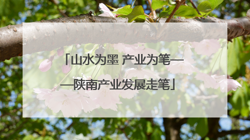 山水为墨 产业为笔——陕南产业发展走笔