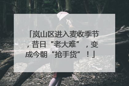 岚山区进入麦收季节，昔日“老大难”，变成今朝“抢手货”！