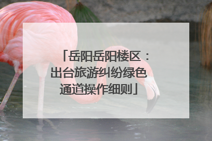 岳阳岳阳楼区：出台旅游纠纷绿色通道操作细则
