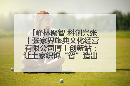 峰林聚智 科创兴张丨张家界旅典文化经营有限公司博士创新站：让土家织锦“智”造出非遗新传奇