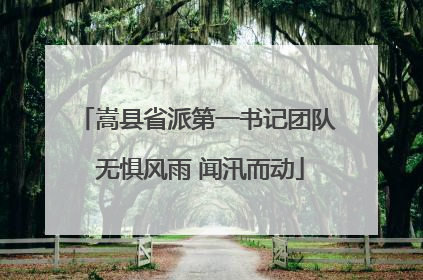 嵩县省派第一书记团队 无惧风雨 闻汛而动