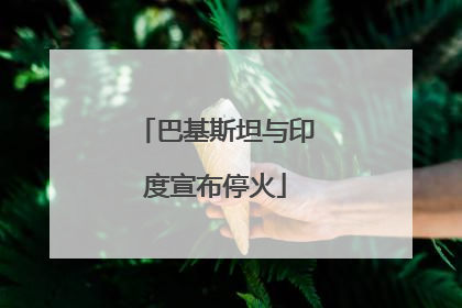 巴基斯坦与印度宣布停火