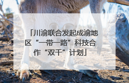 川渝联合发起成渝地区“一带一路”科技合作“双千”计划