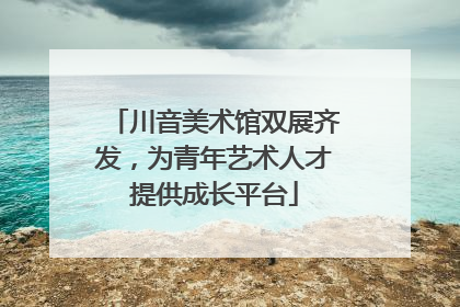 川音美术馆双展齐发，为青年艺术人才提供成长平台