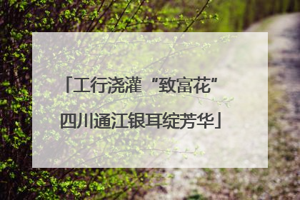 工行浇灌“致富花” 四川通江银耳绽芳华