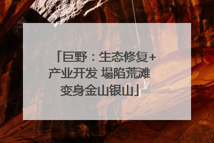 巨野：生态修复+产业开发 塌陷荒滩变身金山银山