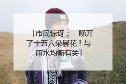 市民惊讶：一晚开了十五六朵昙花！与雨水均衡有关