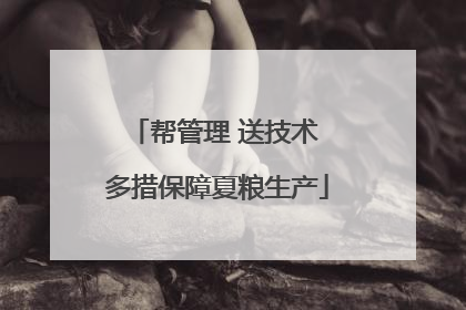 帮管理 送技术 多措保障夏粮生产