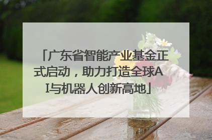 广东省智能产业基金正式启动，助力打造全球AI与机器人创新高地