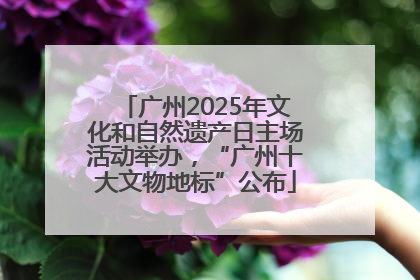广州2025年文化和自然遗产日主场活动举办，“广州十大文物地标”公布
