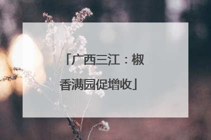 广西三江：椒香满园促增收