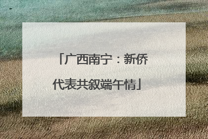 广西南宁：新侨代表共叙端午情