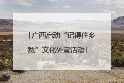 广西启动“记得住乡愁”文化外宣活动