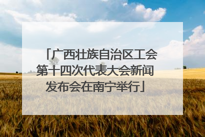 广西壮族自治区工会第十四次代表大会新闻发布会在南宁举行