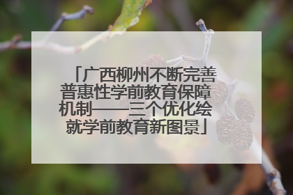 广西柳州不断完善普惠性学前教育保障机制——三个优化绘就学前教育新图景