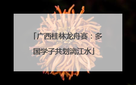 广西桂林龙舟赛：多国学子共划漓江水