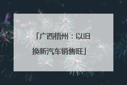 广西梧州：以旧换新汽车销售旺