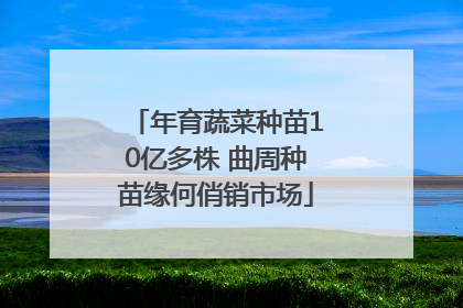 年育蔬菜种苗10亿多株 曲周种苗缘何俏销市场