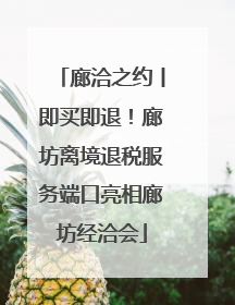 廊洽之约丨即买即退！廊坊离境退税服务端口亮相廊坊经洽会