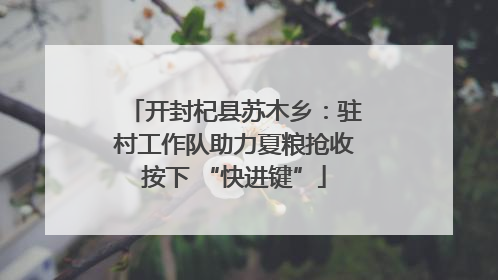 开封杞县苏木乡：驻村工作队助力夏粮抢收按下 “快进键”