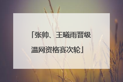 张帅、王曦雨晋级温网资格赛次轮