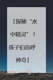 探秘“水中精灵”！孩子们直呼神奇