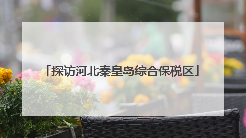 探访河北秦皇岛综合保税区
