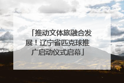 推动文体旅融合发展！辽宁省匹克球推广启动仪式启幕