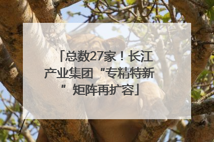 总数27家！长江产业集团“专精特新”矩阵再扩容