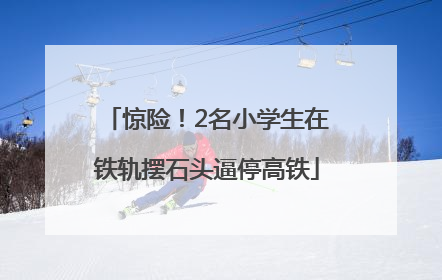 惊险！2名小学生在铁轨摆石头逼停高铁
