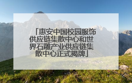 惠安中国校园服饰供应链集散中心和世界石雕产业供应链集散中心正式揭牌