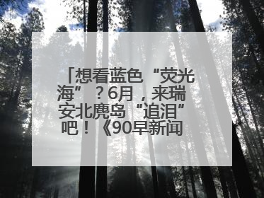 想看蓝色“荧光海”？6月，来瑞安北麂岛“追泪”吧！《90早新闻》来了