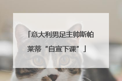 意大利男足主帅斯帕莱蒂“自宣下课”