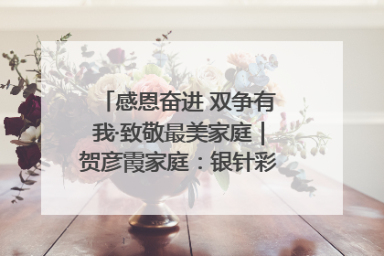 感恩奋进 双争有我·致敬最美家庭｜贺彦霞家庭：银针彩线绣出好日子