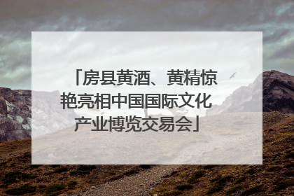 房县黄酒、黄精惊艳亮相中国国际文化产业博览交易会