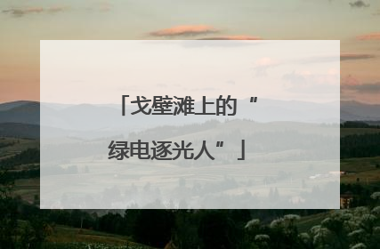 戈壁滩上的“绿电逐光人”