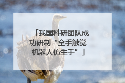 我国科研团队成功研制“全手触觉机器人仿生手”