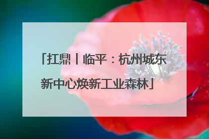 扛鼎丨临平：杭州城东新中心焕新工业森林